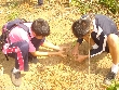 Highslide JS