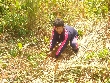 Highslide JS