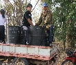 คลิกดูรายละเอียดกิจกรรมสวนกล้วยไม้�