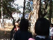 Highslide JS