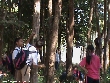 Highslide JS