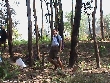 Highslide JS