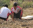 Highslide JS