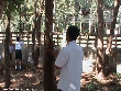 Highslide JS