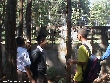Highslide JS