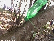 Highslide JS