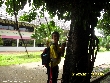 Highslide JS
