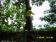 Highslide JS
