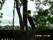 Highslide JS