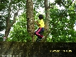 Highslide JS
