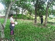 Highslide JS