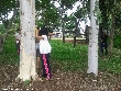 Highslide JS