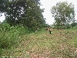 Highslide JS