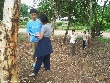 Highslide JS