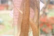 $bota_pic_name1
