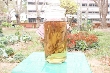 $bota_pic_name1