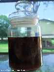 $bota_pic_name1
