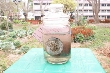 $bota_pic_name1