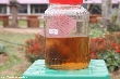 $bota_pic_name1