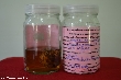$bota_pic_name1