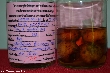 $bota_pic_name1