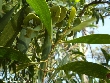 $bota_pic_name1