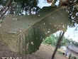 $bota_pic_name1