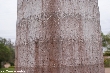 $bota_pic_name1