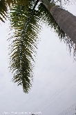 $bota_pic_name1