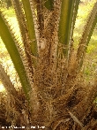 $bota_pic_name1