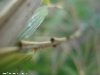 $bota_pic_name1