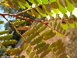 $bota_pic_name1