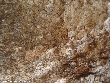 $bota_pic_name1
