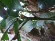 $bota_pic_name1