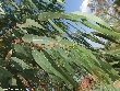 $bota_pic_name1