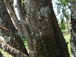 $bota_pic_name1