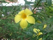 $bota_pic_name1