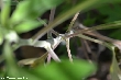 $bota_pic_name1