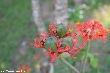 $bota_pic_name1