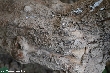 $bota_pic_name1