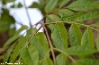 $bota_pic_name1